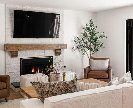 Professional TV Mounting Services