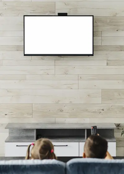 TV Mounting Experts - Our Services